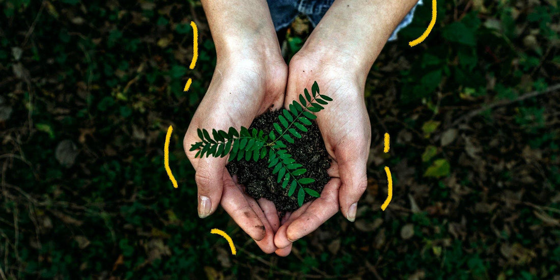 Corporate Social Responsibility - Beyond Water